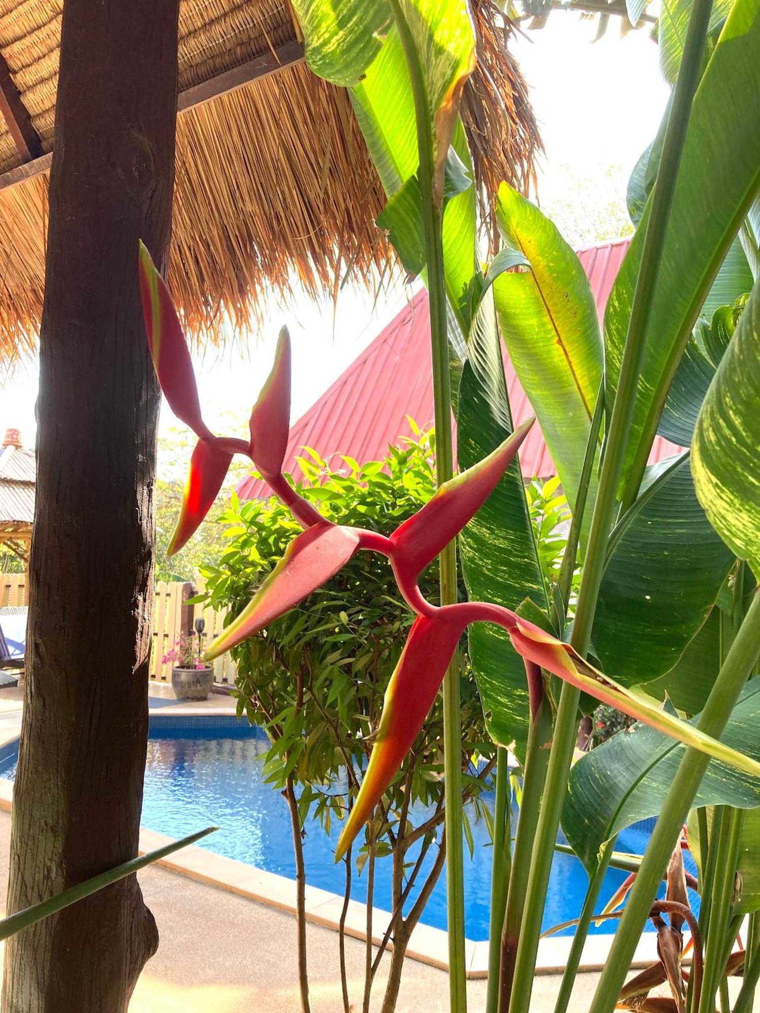 Villa Ayutthaya At Kantiang Bay Ko Lanta Екстериор снимка